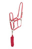 Rose Tonique Halter & Lead Set
