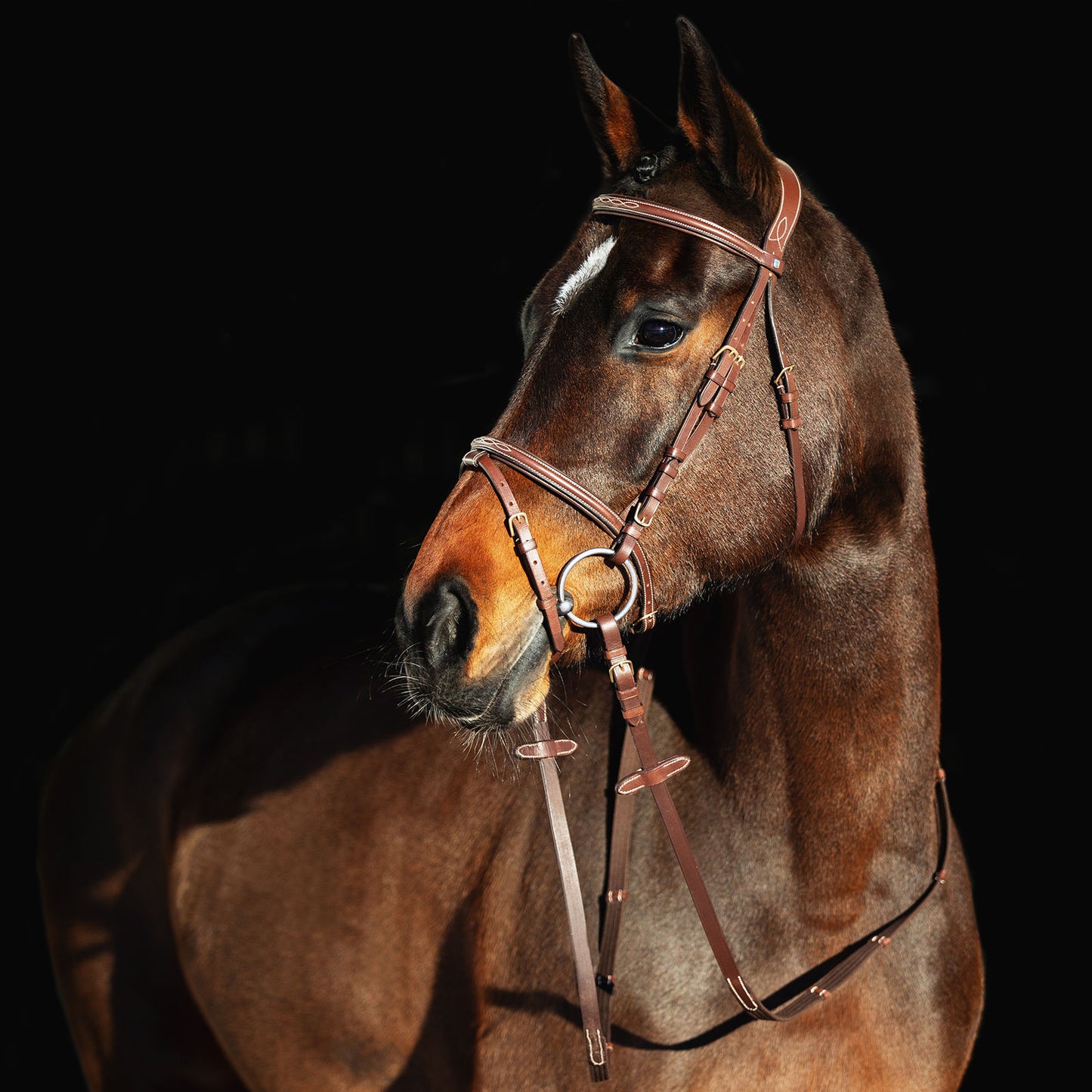 Constance Bridle with Stictching - Wanneroo Stockfeeders