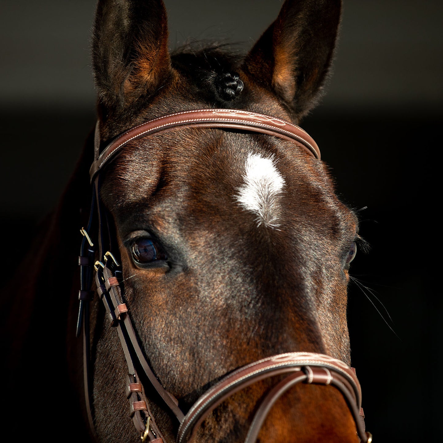 Constance Bridle with Stictching - Wanneroo Stockfeeders