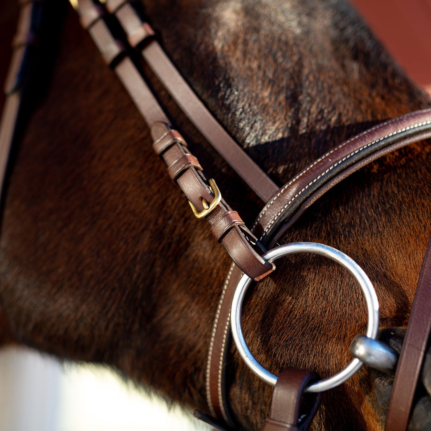 Constance Bridle with Stictching - Wanneroo Stockfeeders