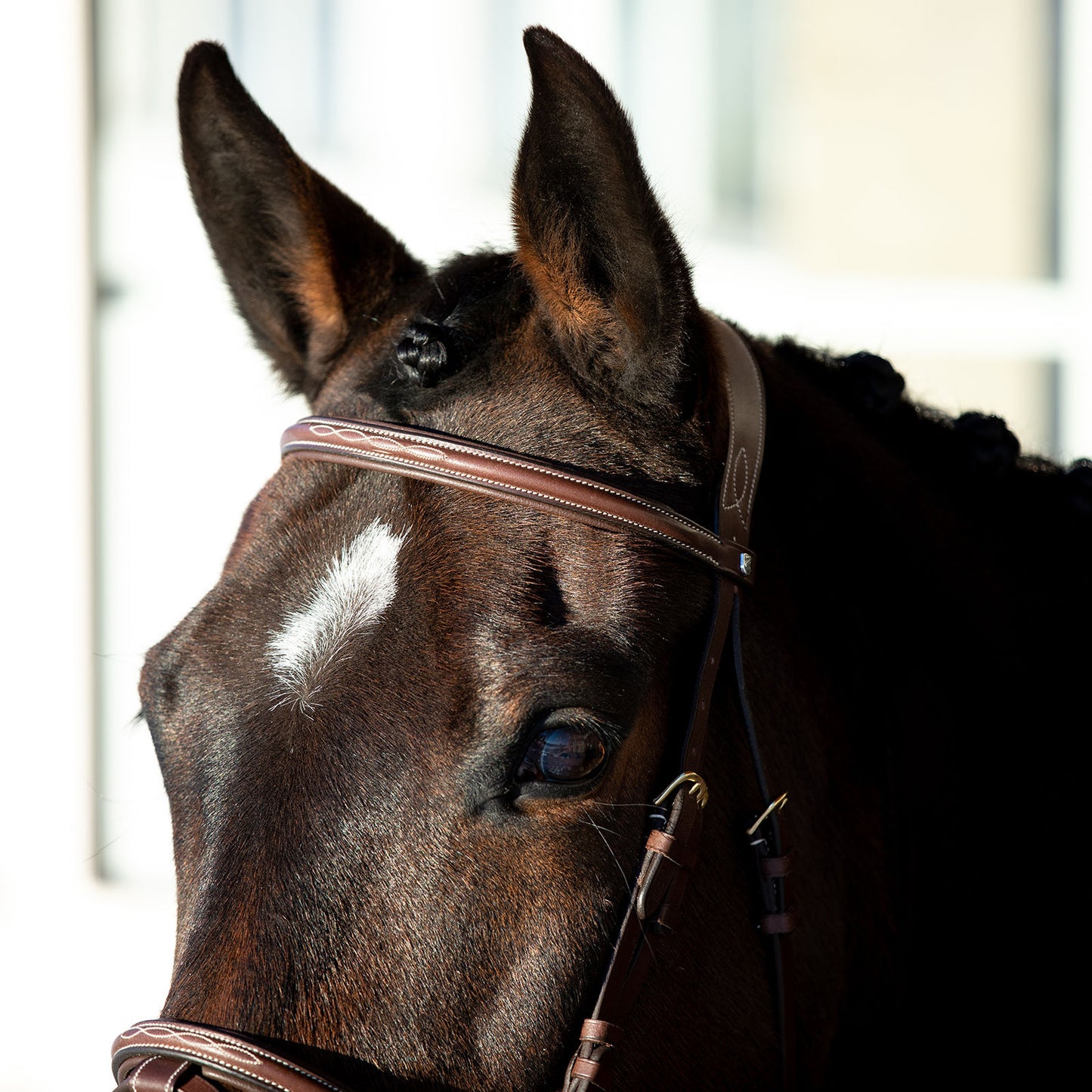 Constance Bridle with Stictching - Wanneroo Stockfeeders