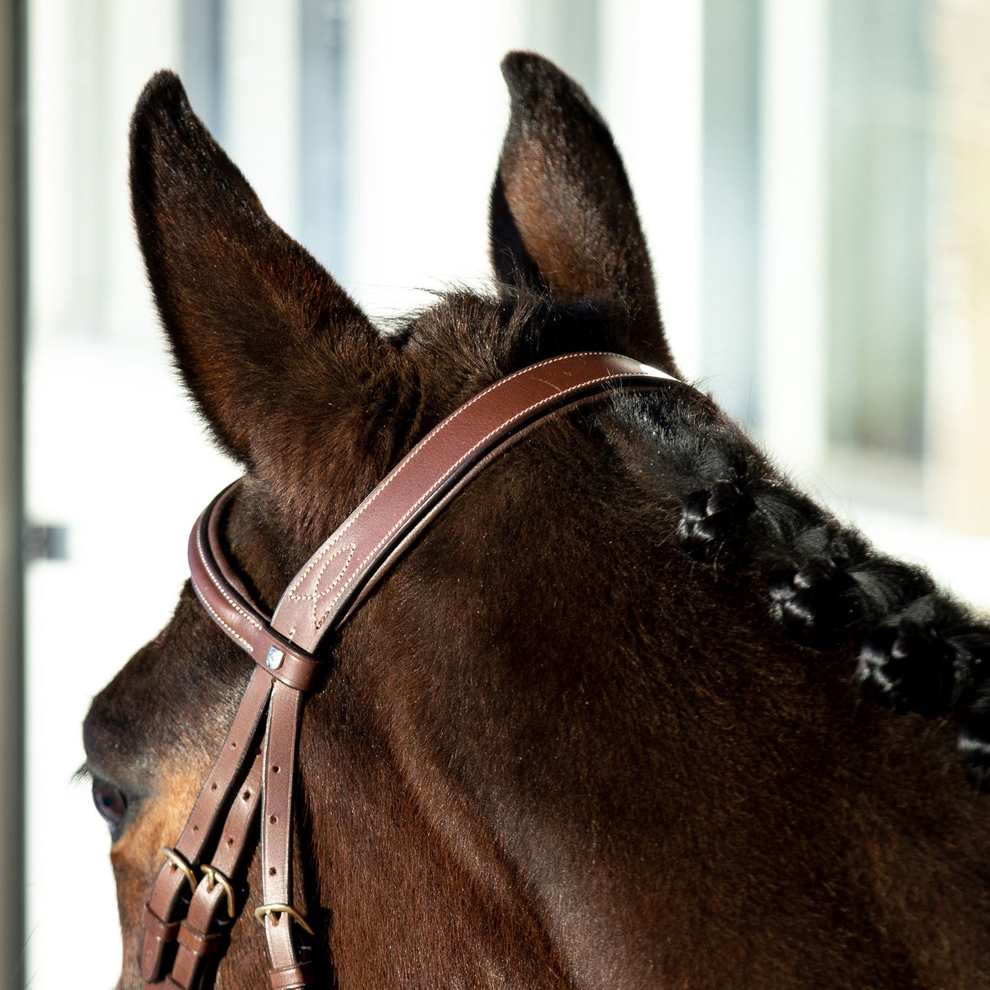 Constance Bridle with Stictching - Wanneroo Stockfeeders