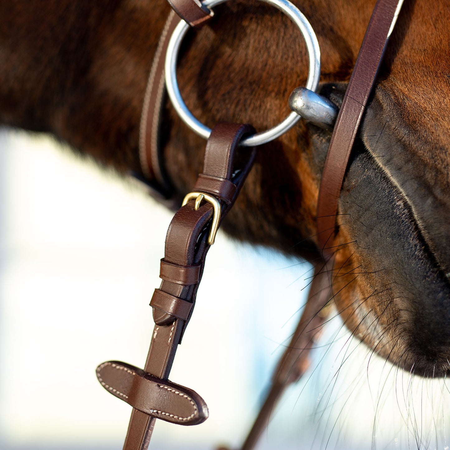 Constance Bridle with Stictching - Wanneroo Stockfeeders