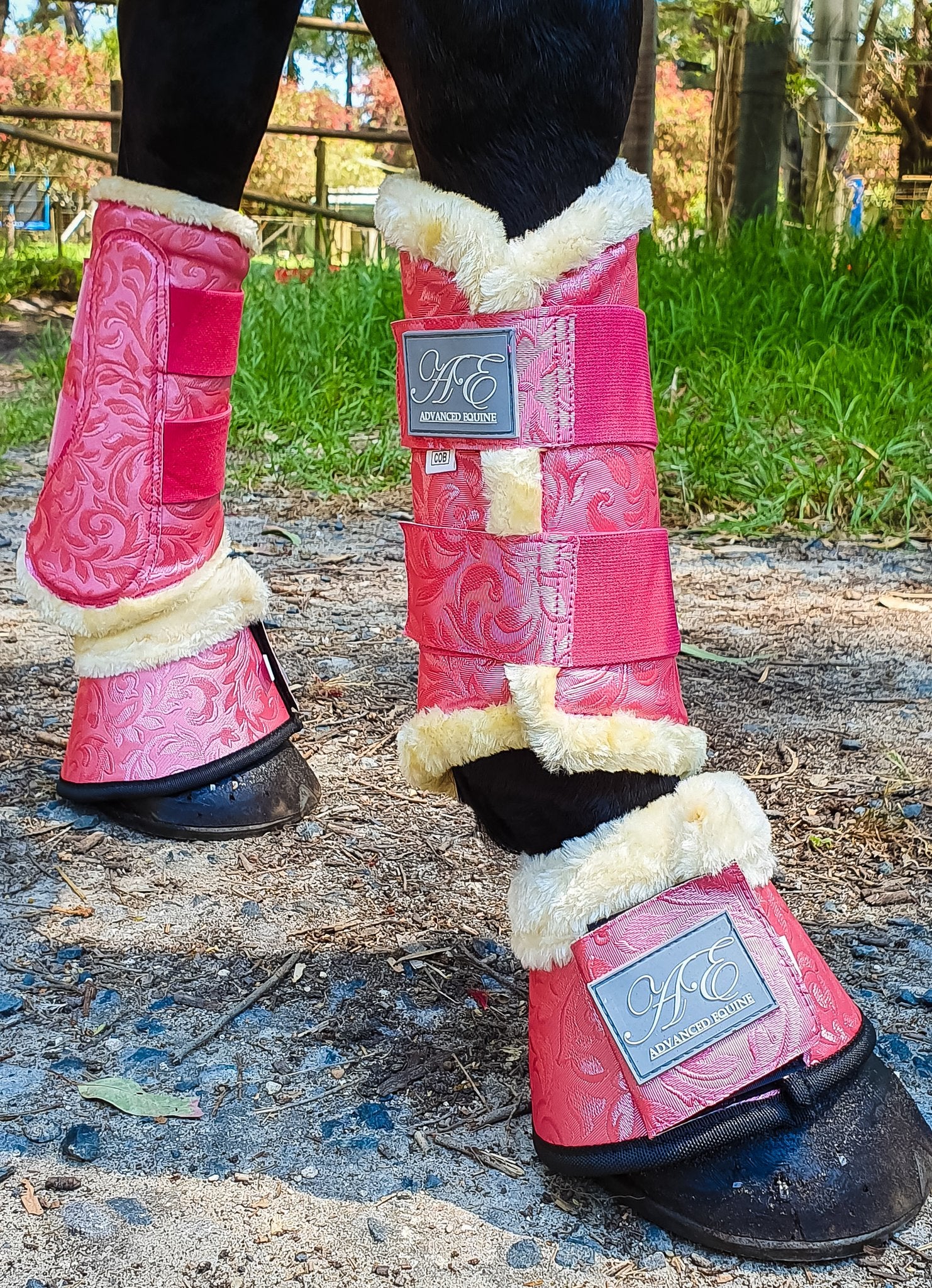 Coral Reef Exercise Boots - Wanneroo Stockfeeders