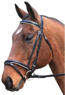 Eventing Bridle - With Reins - Wanneroo Stockfeeders