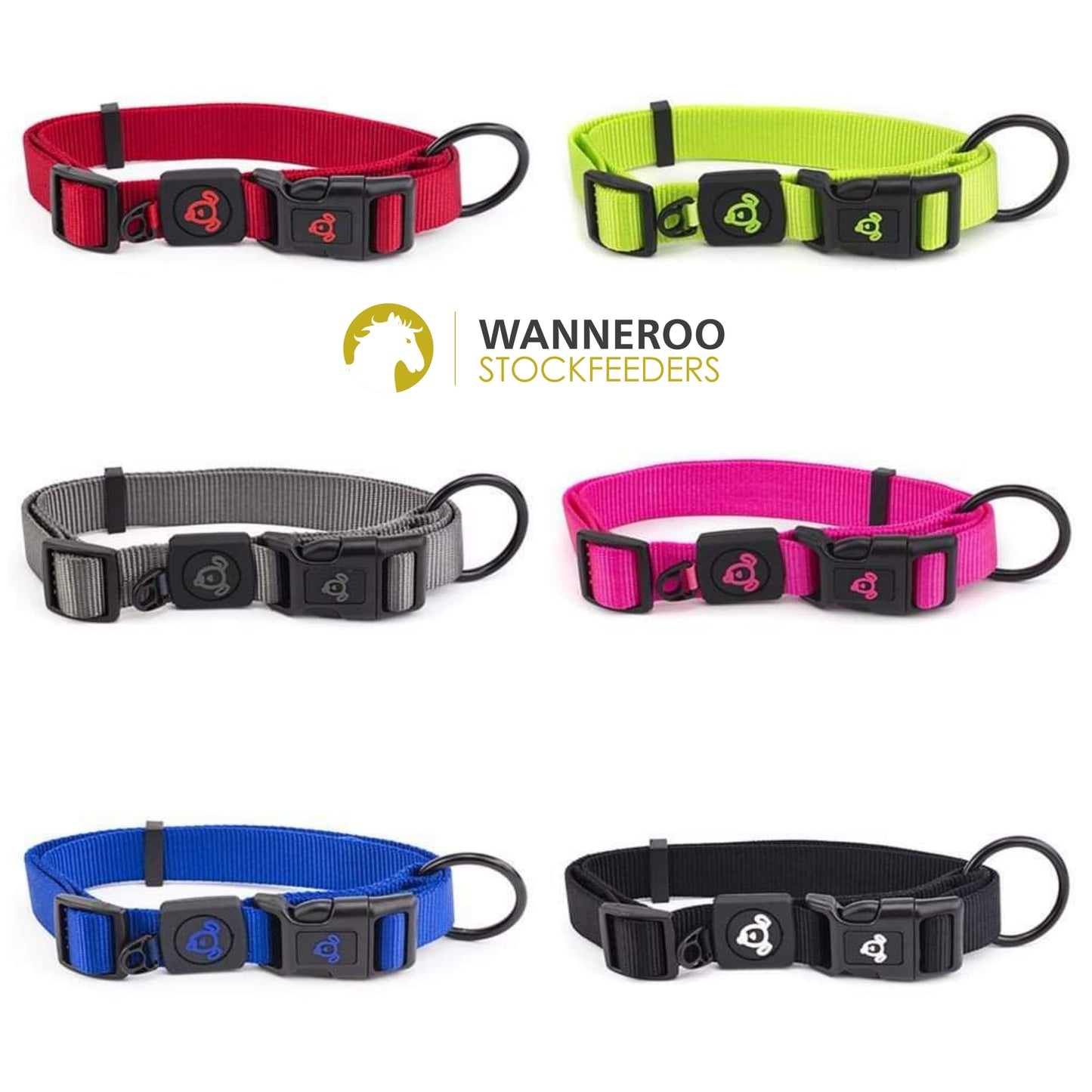 Bainbridge Nylon Dog Collar - Wanneroo Stock Feeders
