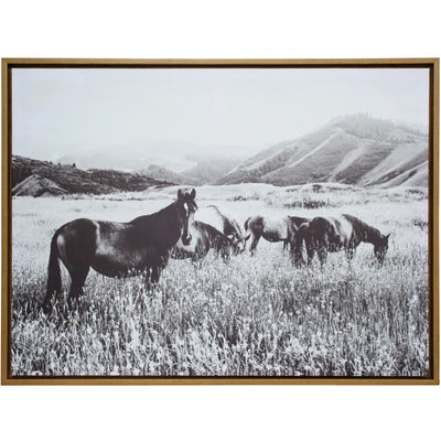 Framed Horse Field Canvas - Wanneroo Stock Feeders