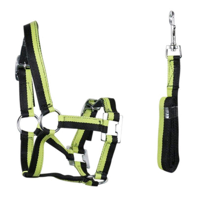 Halter and Lead Set - Wanneroo Stockfeeders