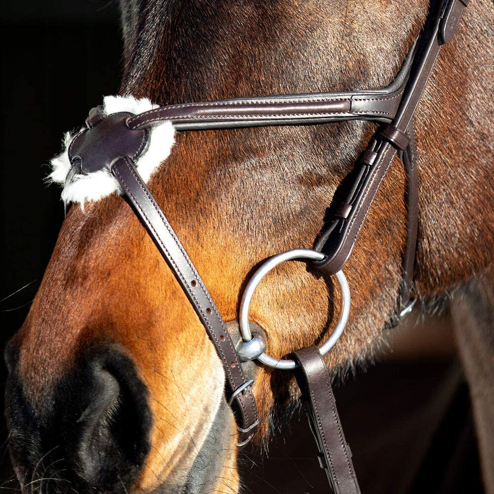 Prescott X Noseband Bridle - Wanneroo Stockfeeders