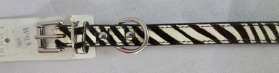 Zebra Print Collar - Wanneroo Stockfeeders