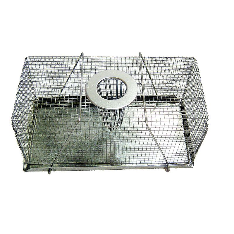 Cage Mouse Trap - Wanneroo Stockfeeders