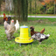 Supreme Poultry Feeder - Wanneroo Stockfeeders