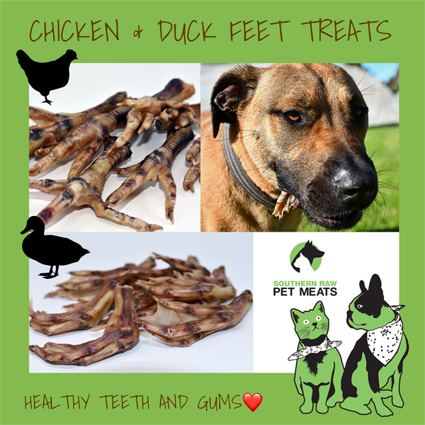 Dried Duck/Chicken Foot - Wanneroo Stockfeeders