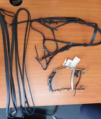 Double Bridle (With Bits) - Wanneroo Stock Feeders