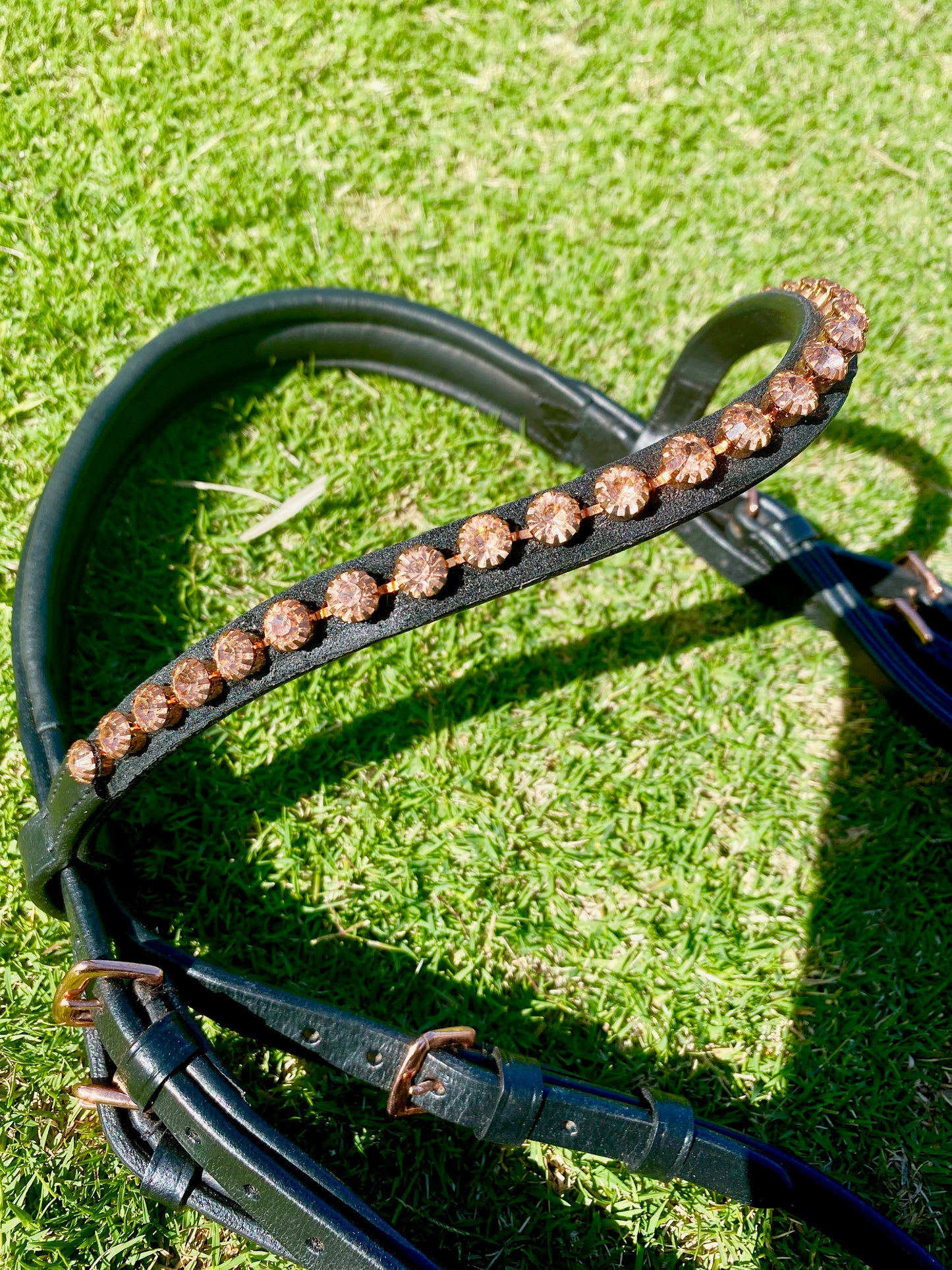 Blush Rose Gold Bridle - Wanneroo Stockfeeders