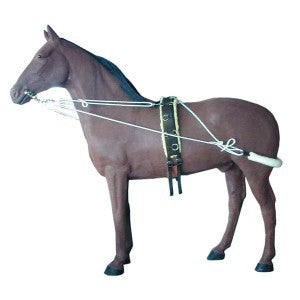 Training System For Horses - Wanneroo Stockfeeders