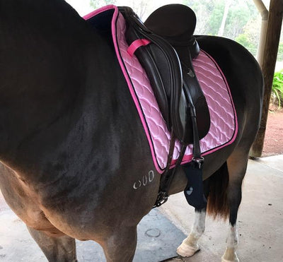 MEES Satin Dressage Saddle Pad - Wanneroo Stockfeeders