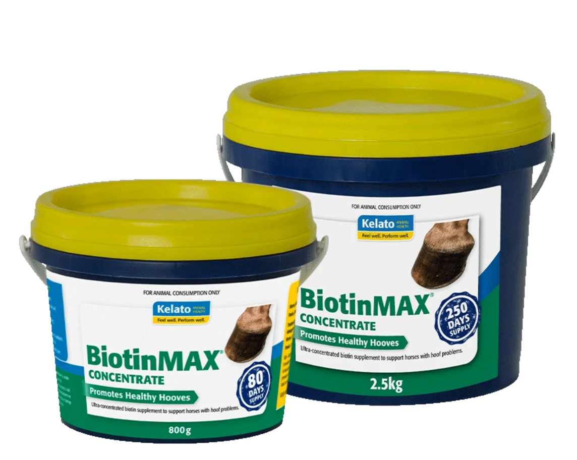 BiotinMAX - Wanneroo Stockfeeders