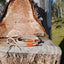 The Long Paddock Lead Dog - Wanneroo Stock Feeders