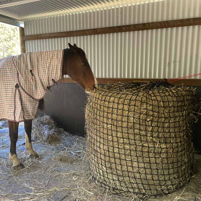 Hay shop net feeders