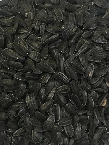 Black Sunflower Seeds - Wanneroo Stockfeeders