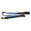 Bungee Dog Leash - Wanneroo Stockfeeders