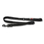 Bungee Dog Leash - Wanneroo Stockfeeders