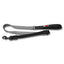 Bungee Dog Leash - Wanneroo Stockfeeders