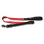 Bungee Dog Leash - Wanneroo Stockfeeders