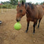 Apple Jolly Ball - Wanneroo Stockfeeders