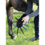 Horse Crocz - Wanneroo Stockfeeders