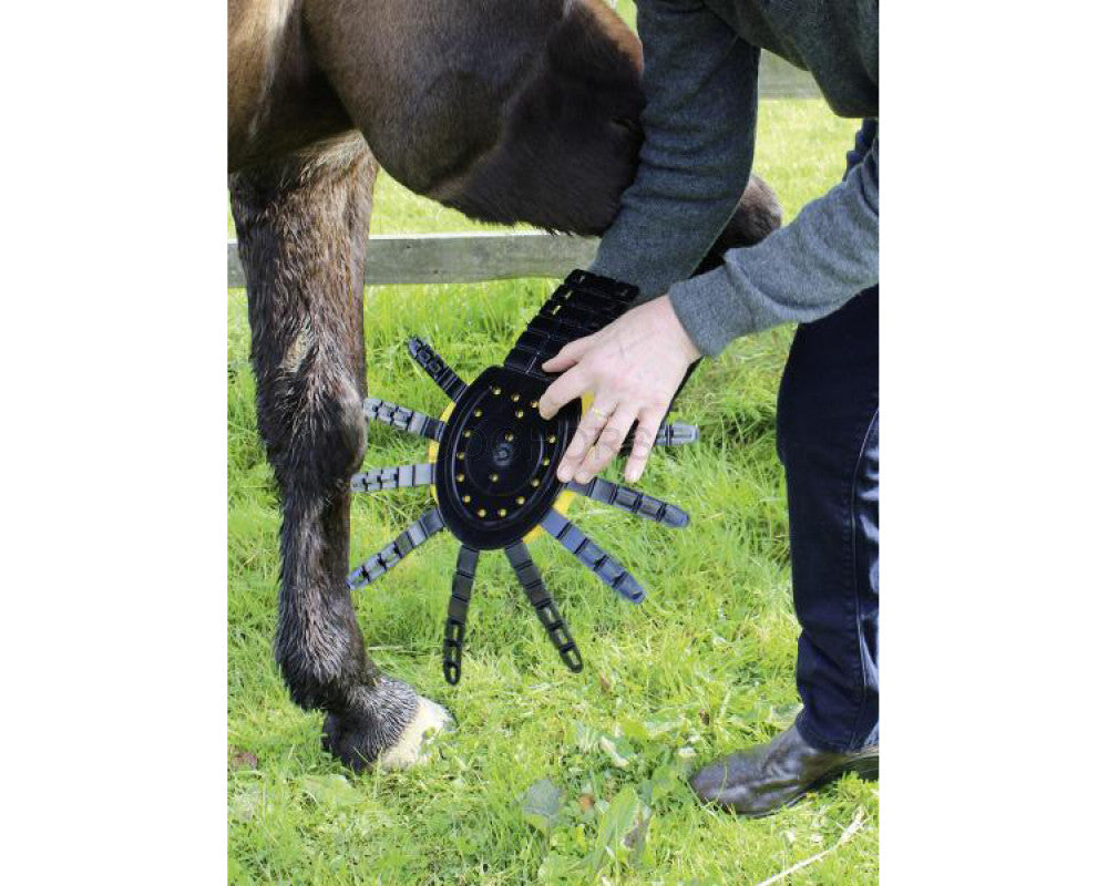 Horse Crocz - Wanneroo Stockfeeders
