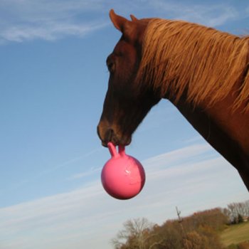 Apple Jolly Ball - Wanneroo Stockfeeders