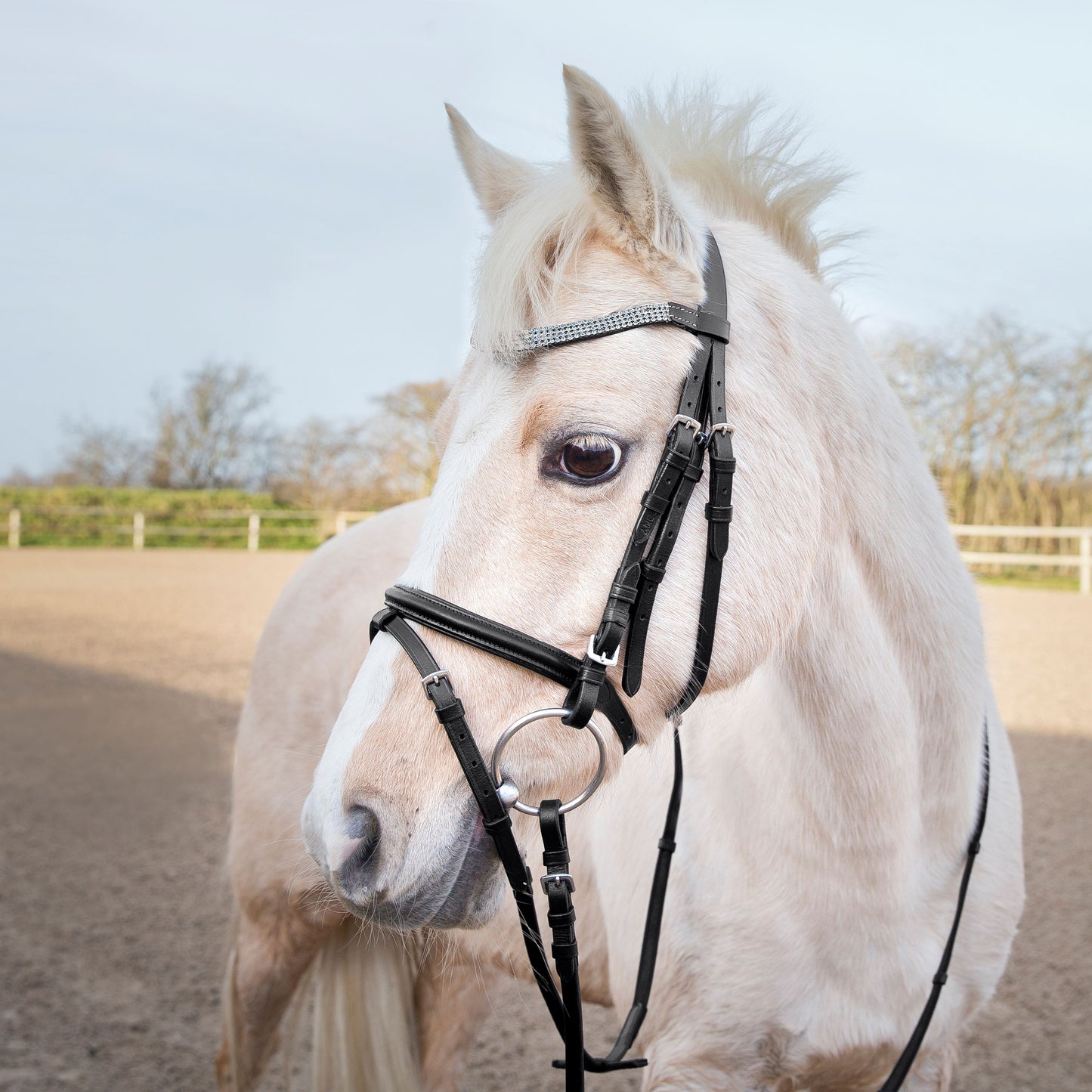 Crystal Brow Bridle - Wanneroo Stockfeeders