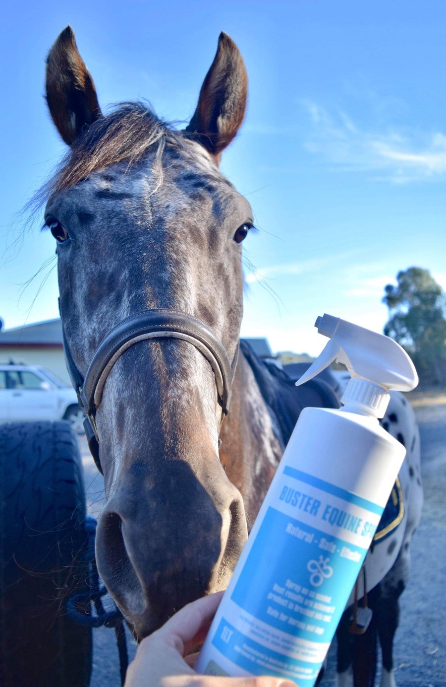 Buster Equine Spray - Wanneroo Stockfeeders