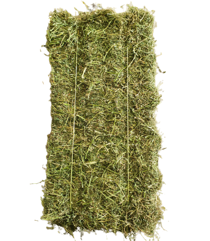 Lucerne Hay Gingin - Wanneroo Stockfeeders