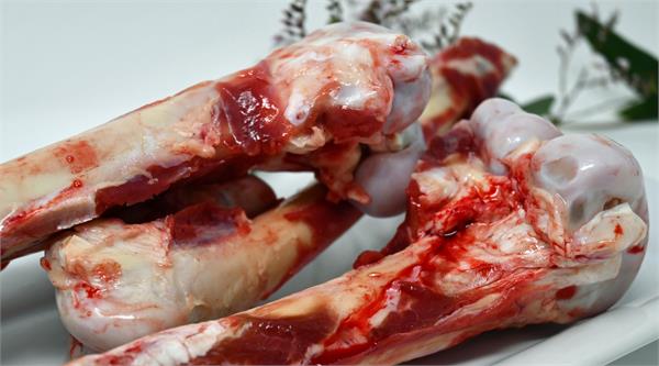 Kangaroo Marrow Bone - Wanneroo Stockfeeders