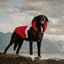 Mt Buller Dog Jacket - Wanneroo Stockfeeders
